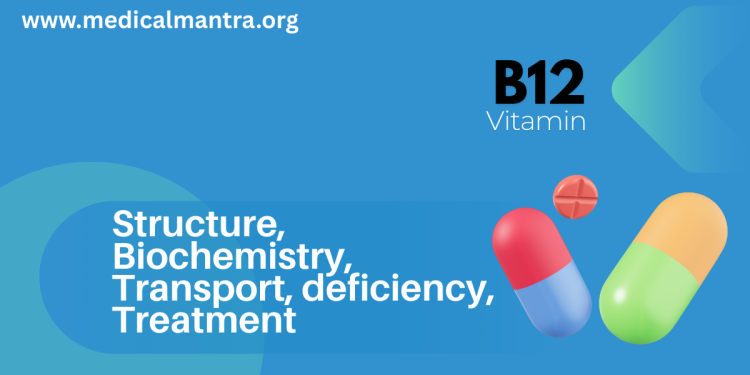 Vitamin B12 : Structure, absorbtion, function, deficiency and treatment