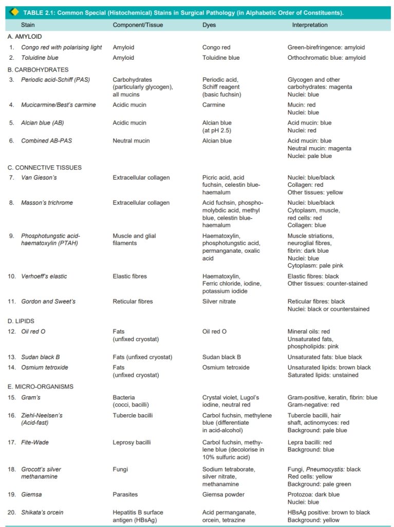 SPECIAL STAINS HISTOCHEMISTRY