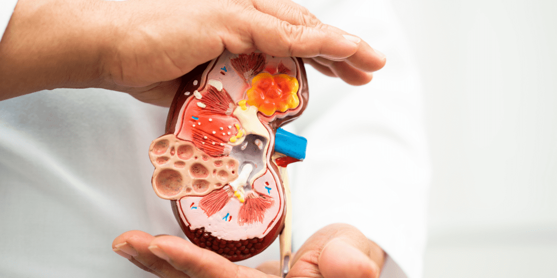 Glomerulonephritis : Types, Causes, Symptoms, Diagnosis and Treatment