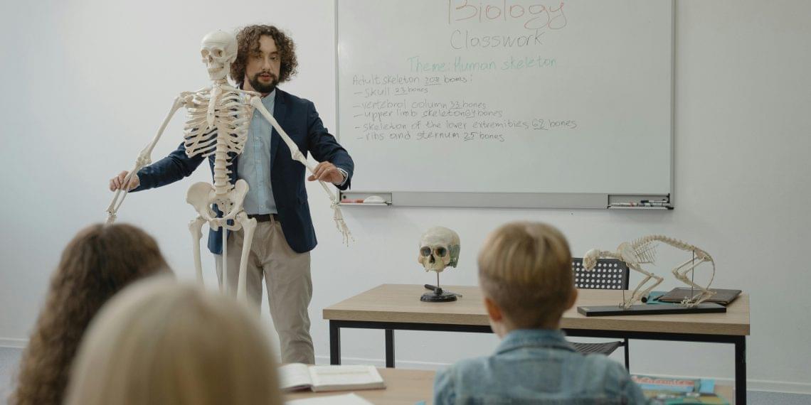 Introduction of the Anatomy of the Upper Limb: Evolutionary Adaptations and Functional Complexity 11 Introduction of the Anatomy of the Upper Limb: Evolutionary Adaptations and Functional Complexity